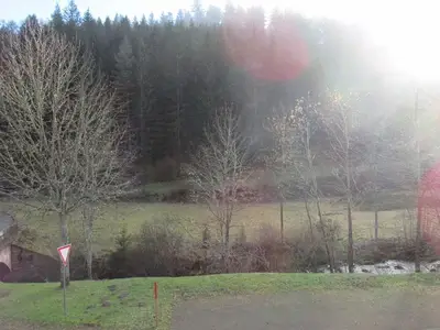 Ferienwohnung für 5 Personen (45 m²) in Baiersbronn 9/10