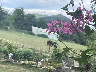 Blick auf den Schaumberg