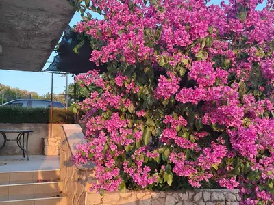 Ferienwohnung für 6 Personen (90 m²) in Primošten 3/10