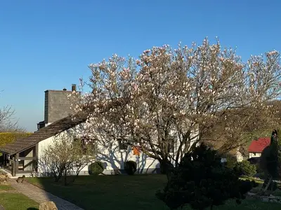 Ferienwohnung für 4 Personen (68 m²) in Lügde 2/10