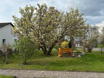 Ferienwohnung für 4 Personen (68 m²) in Lügde 3/10