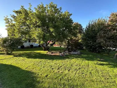 Ferienwohnung für 4 Personen (68 m²) in Lügde 10/10