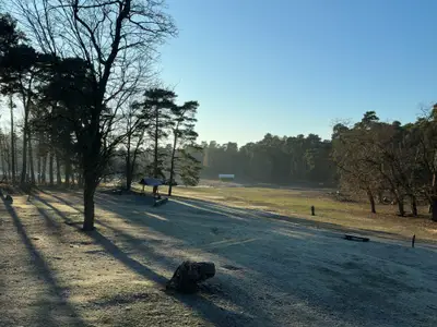Blick aus den Wohnungen