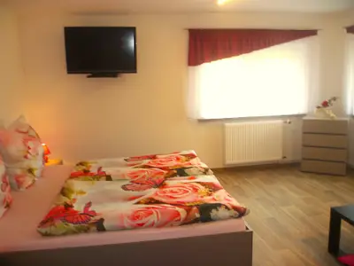 Ferienwohnung für 4 Personen (60 m²) in Berthelsdorf 5/10