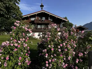 Ferienwohnung für 4 Personen (75 m²) in Fieberbrunn