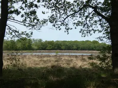 AreaSummer20KM