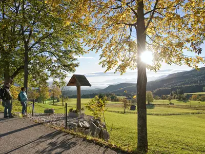 00000008846_Am-Dobratsch-Rundwanderweg-in-Heiligen