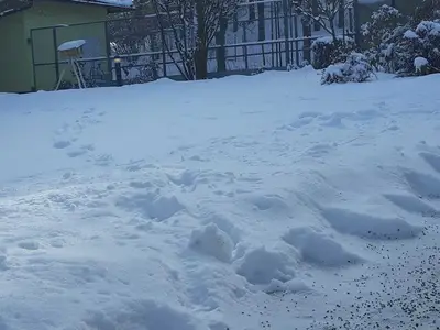 Ferienwohnung für 6 Personen (80 m²) in Obertrubach 3/10
