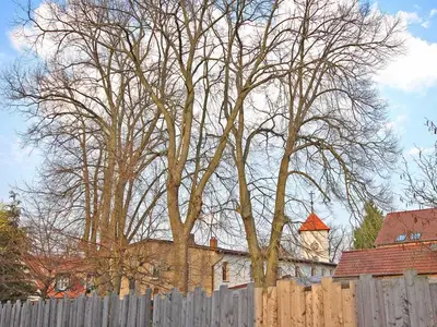 Ferienwohnung für 3 Personen (70 m²) in Flecken Zechlin 7/10