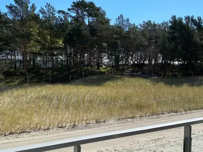 Ferienwohnung für 9 Personen (140 m²) in Binz (Ostseebad) 5/10
