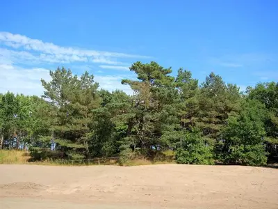 Ferienwohnung für 4 Personen (50 m²) in Binz (Ostseebad) 9/10
