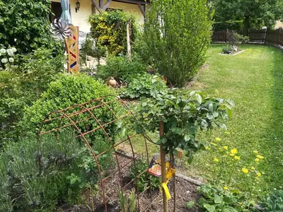 Ferienwohnung für 4 Personen (50 m²) in Gräfenberg 3/10