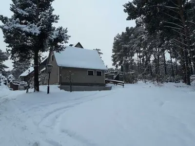 Ferienwohnung für 4 Personen (70 m²) in Kölpinsee (Usedom) 7/10