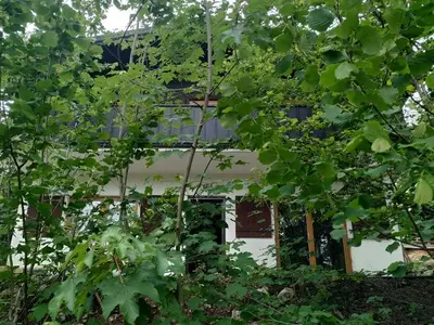 Ferienwohnung für 5 Personen (70 m²) in Egloffstein 5/10
