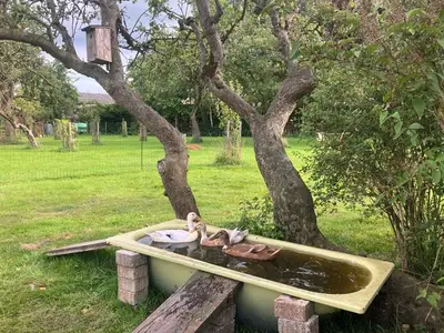 Ferienwohnung für 3 Personen (40 m²) in Bergenhusen 9/10