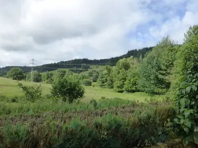 Ferienwohnung für 5 Personen (93 m²) in Unter-Mossau 5/10