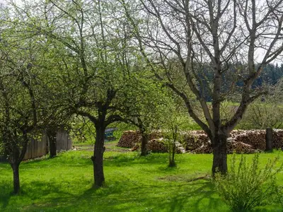 Ferienwohnung für 6 Personen (60 m²) in Aufseß 5/10