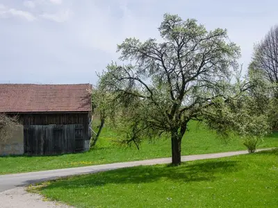 Ferienwohnung für 6 Personen (60 m²) in Aufseß 6/10