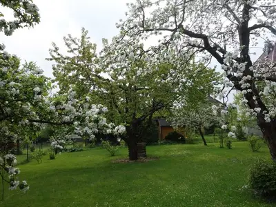 Ferienwohnung für 4 Personen (70 m²) in Marburg 6/10