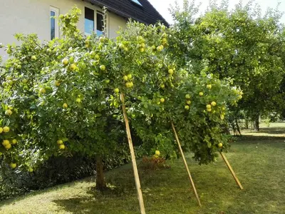 Ferienwohnung für 4 Personen (70 m²) in Marburg 7/10