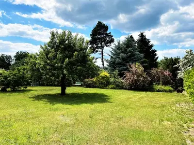 Ferienwohnung für 4 Personen (47 m²) in Elsterheide 5/10