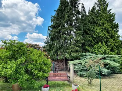 Ferienwohnung für 4 Personen (47 m²) in Elsterheide 6/10