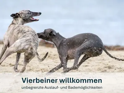 Ferienwohnung für 5 Personen (66 m²) in Sauzin 10/10