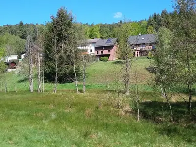 Ferienwohnung für 3 Personen (40 m²) in Unter-Mossau 5/10