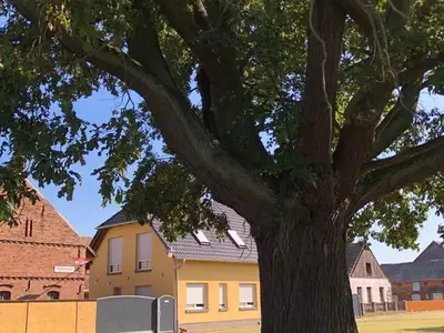 Ferienwohnung für 6 Personen (81 m²) in Schönwald 4/10