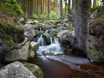 Ferienwohnung für 3 Personen (45 m²) in Wernigerode 6/6