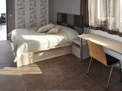 Ferienwohnung für 4 Personen (65 m²) in Wernigerode 9/10