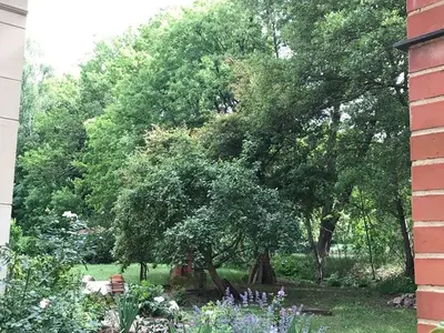 Ferienwohnung für 6 Personen (136 m²) in Vetschau 9/10