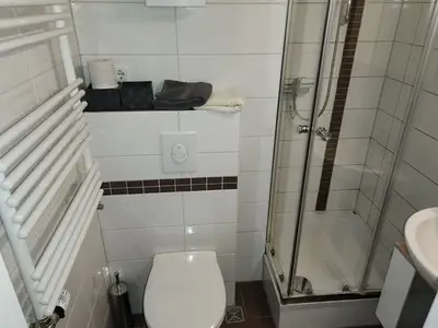Ferienwohnung für 4 Personen (45 m²) in Torfhaus 5/10