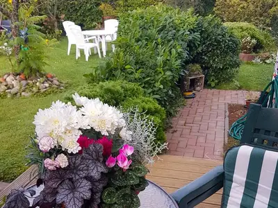 Ferienwohnung für 4 Personen (65 m²) in Kluis 4/10