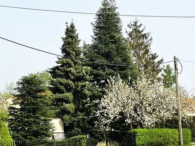 Ferienwohnung für 7 Personen (90 m²) in Hoyerswerda 5/10