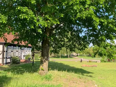 Ferienwohnung für 4 Personen (50 m²) in Schlatkow 6/10