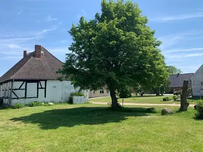 Ferienwohnung für 4 Personen (50 m²) in Schlatkow 8/10