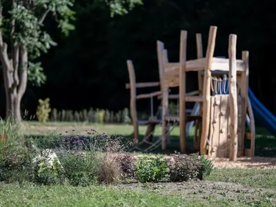 Ferienwohnung für 3 Personen (30 m²) in Meisdorf 5/10
