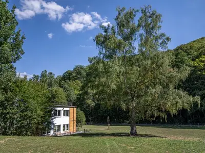 Ferienwohnung für 3 Personen (30 m²) in Meisdorf 6/10