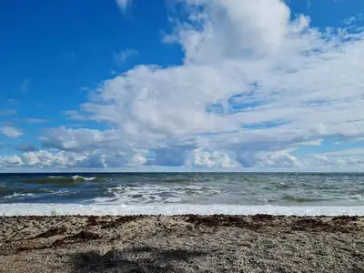 Ferienwohnung für 5 Personen (72 m²) in Fehmarn 5/10