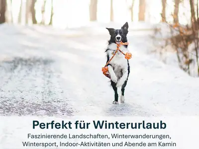 Ferienwohnung für 4 Personen (80 m²) in Kamminke 8/10