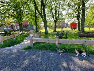 Ferienwohnung für 2 Personen (20 m²) in Rerik (Ostseebad) 10/10