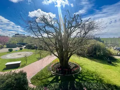 Ferienwohnung für 5 Personen (64 m²) in Büsum 3/10