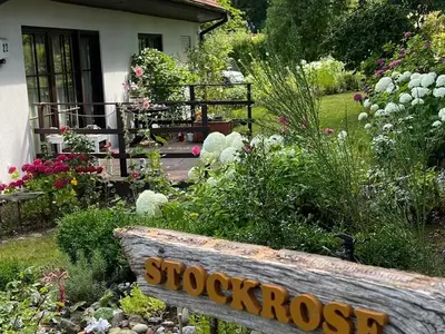 Ferienwohnung für 4 Personen (70 m²) in Lohme (Rügen) 2/10