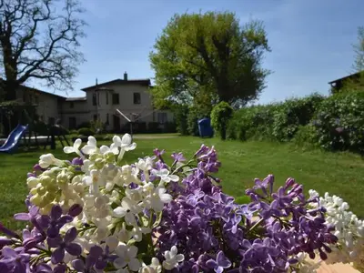 Ferienwohnung für 3 Personen (60 m²) in Boiensdorf 2/10