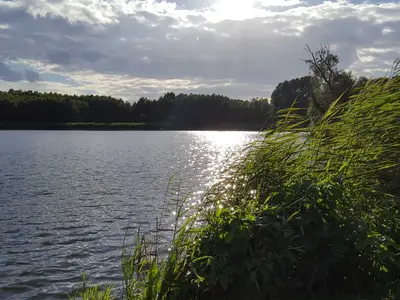 Ferienwohnung für 3 Personen (48 m²) in Kölpinsee (Usedom) 6/10