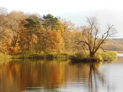 Ferienwohnung für 3 Personen (48 m²) in Kölpinsee (Usedom) 7/10