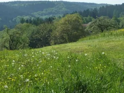 Ferienwohnung für 2 Personen (75 m²) in Wald-Michelbach 6/10