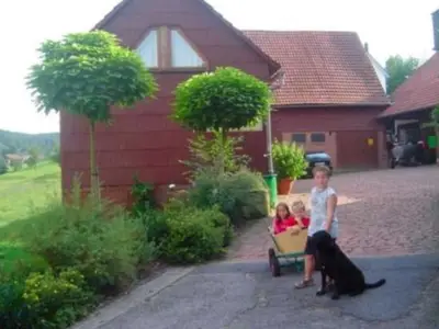Ferienwohnung für 4 Personen (50 m²) in Mossautal 2/9