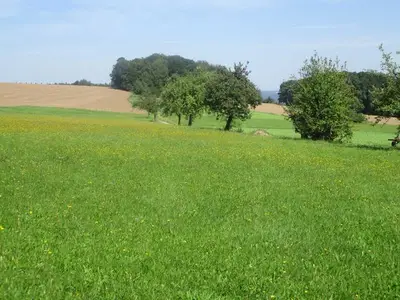 Ferienwohnung für 5 Personen (95 m²) in Kirchzell 5/10